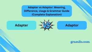 Adapter vs Adaptor