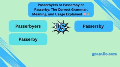 Passerbyers or Passersby or Passerby