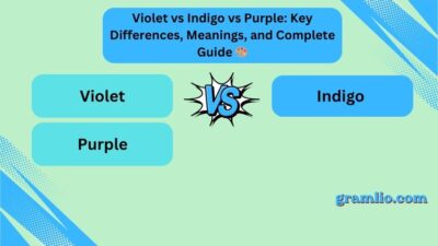 Violet vs Indigo vs Purple