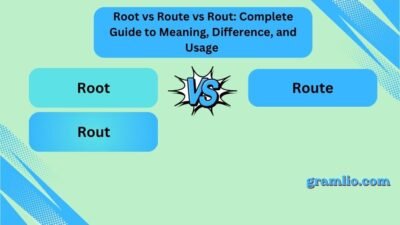 Root vs Route vs Rout