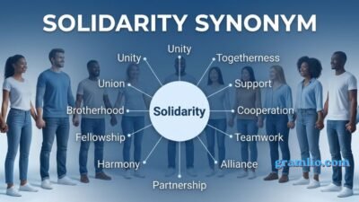 Solidarity Synonym