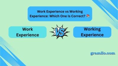 Work Experience vs Working Experience