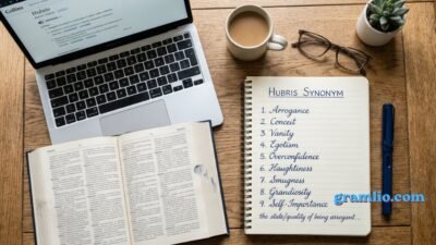 Hubris Synonym