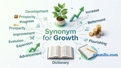 Synonym for Growth