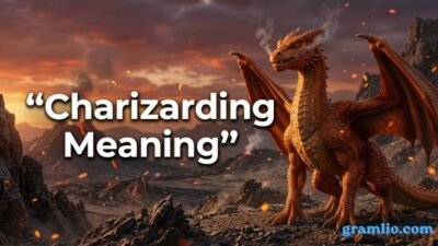 Charizarding Meaning