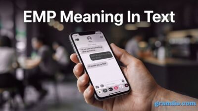 EMP Meaning in Text