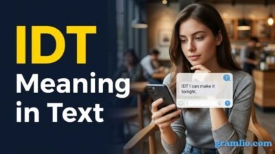 IDT Meaning in Text