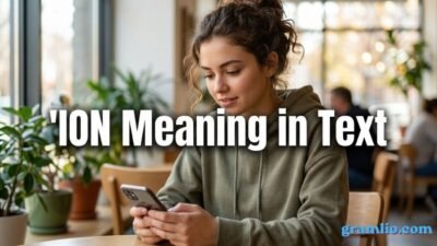 ION Meaning in Text