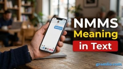 NMMS Meaning in Text