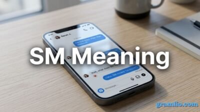 SM Meaning