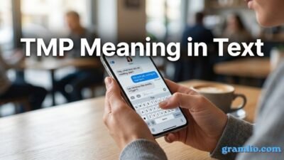 TMP Meaning in Text