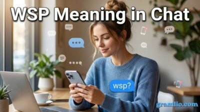 WSP Meaning in Chat