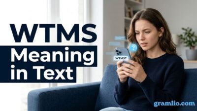 WTMS Meaning in Text