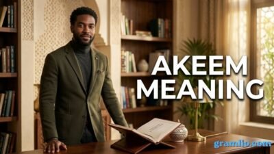 Akeem Meaning