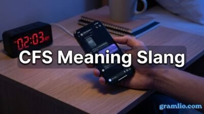 CFS Meaning Slang
