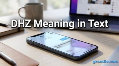 DHZ Meaning in Text