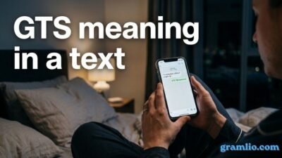 GTS meaning in a text