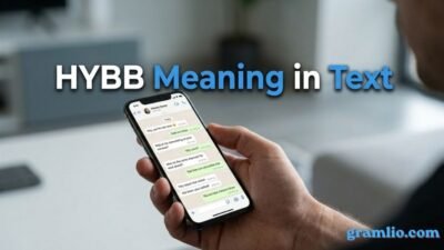 HYBB Meaning in Text