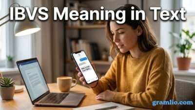 IBVS Meaning in Text