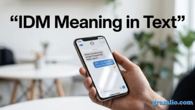 IDM Meaning in Text