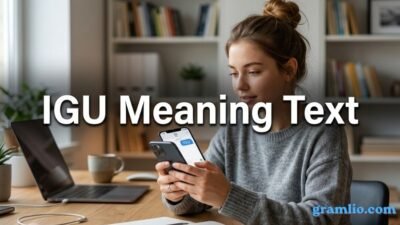 IGU Meaning Text