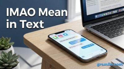 IMAO Mean in Text