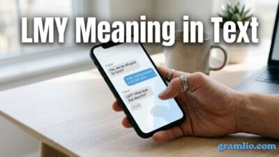 LMY Meaning in Text