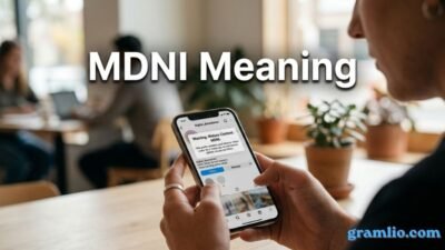 MDNI Meaning