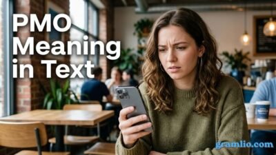 PMO Meaning in Text