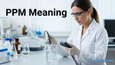 PPM Meaning