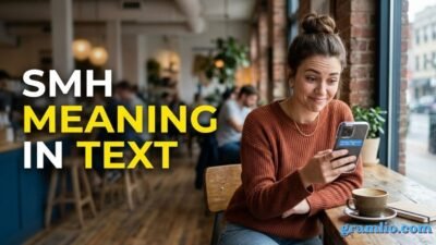 SMH Meaning in Text