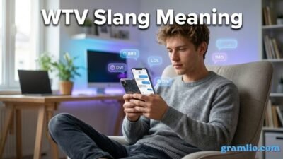 WTV Slang Meaning