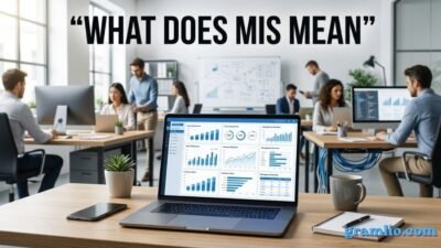 What Does MIS Mean