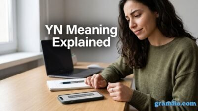 YN Meaning Explained