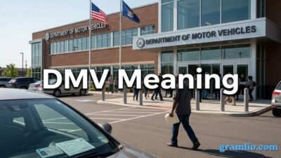 DMV Meaning
