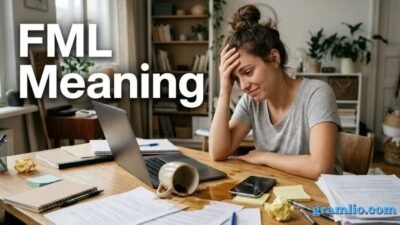 FML Meaning