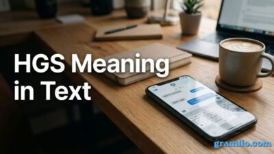 HGS Meaning in Text