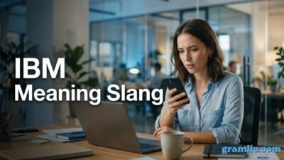 IBM Meaning Slang