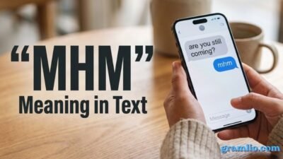 MHM Meaning in Text