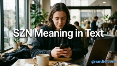 SZN Meaning in Text