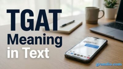 TGAT Meaning in Text