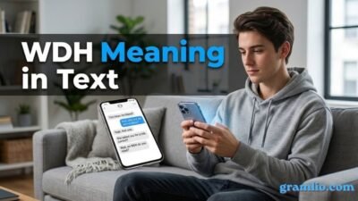 WDH Meaning in Text