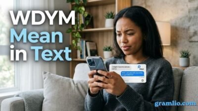 WDYM Mean in Text