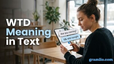 WTD Meaning in Text