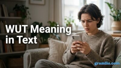 WUT Meaning in Text