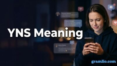 YNS Meaning