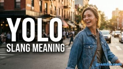 YOLO Slang Meaning